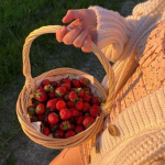 Katie’s strawberries <3
