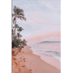 Tropical Glam