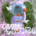 +* Cams Galore *+