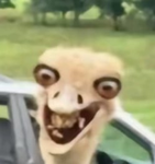 3:v
