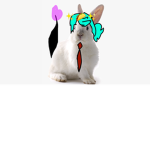 Taco's official group uwu
