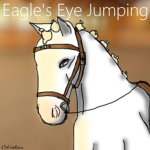 Eagle's Eye Jumping Association