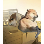 Cheems Frens