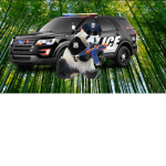 Panda Patroll