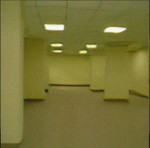 THE COMPLEX (BACKROOMS)