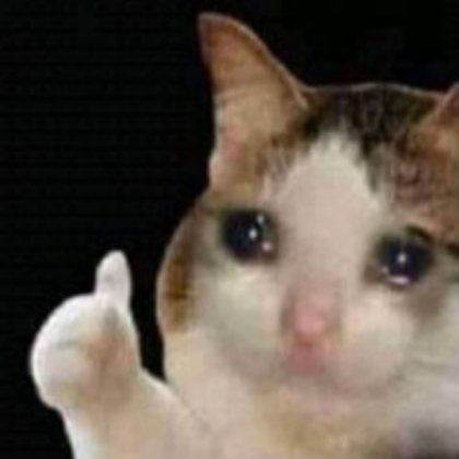 sad cat Roblox decal