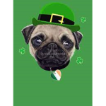 the best Irish team