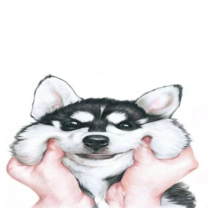 Dog Roblox decal