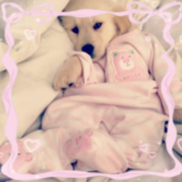 ♡