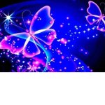 fairyshine