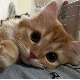 >_<