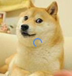 GAME'S DOGE'S