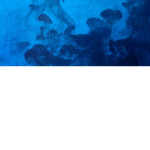 Abel ofc