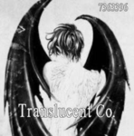 Translucent Co.