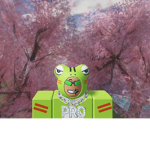 Frogs Funding Center