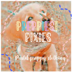 •preppiest pixies•