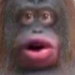 Monke Plaza