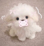 princessxinniee