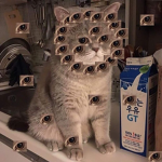 Cult of Spirals
