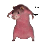 Roblox rat community!