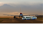 American Airlines vehicle stealers.