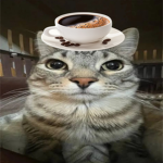 Sinbi nem