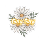 GaySay Group