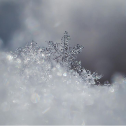 snowflake