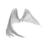 Angels of heaven that fight for the war of heaven
