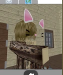 Fake items UGC Group Thumbnail