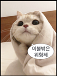 귀여운 사람(?)