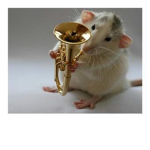 AN RAT