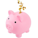 create your own Bank!