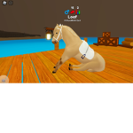 Fluffy Horse Ranch