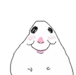 Hammy the wonder hamster