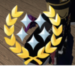 Commanding officer academy