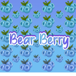 Bear Berry Clothing