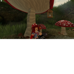 Forest heaven mushrooms