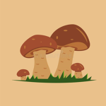 Mushy family