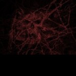 Crush them Cars, WOO