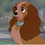 Lady and the tramp in love