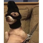 peppersprayingyou