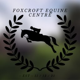 Foxcroft Equine Centre {XMAS Update}