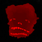 memento morі