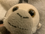 Straberry cow group