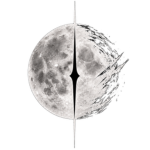 Oblivion | 影