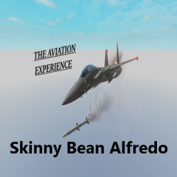 aviation