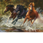 (*Star Stables*)