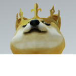 Doge United forces