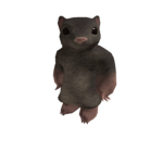 Thisrat101 Fan Group